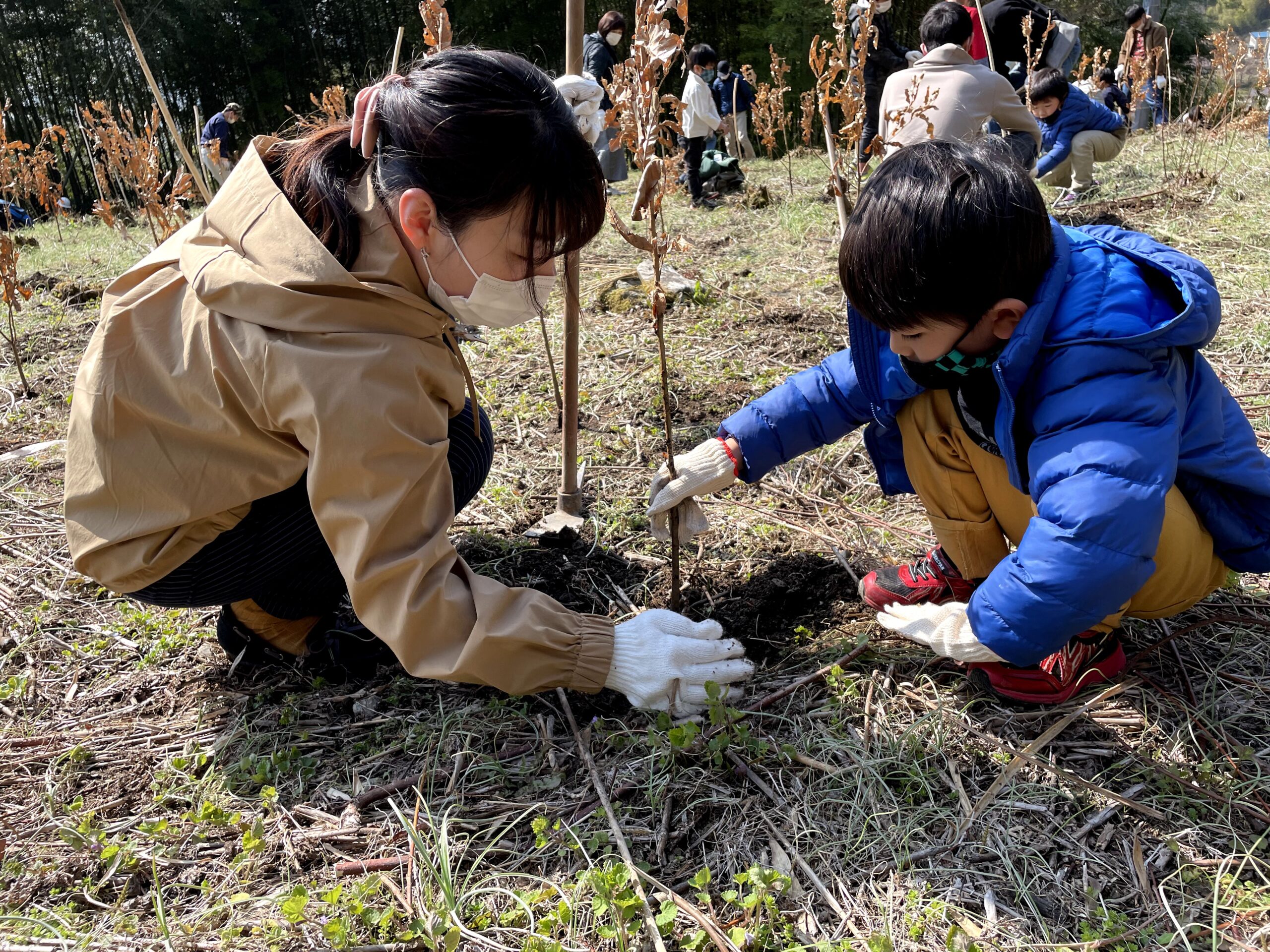 植樹イベント