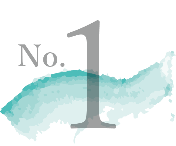 no1